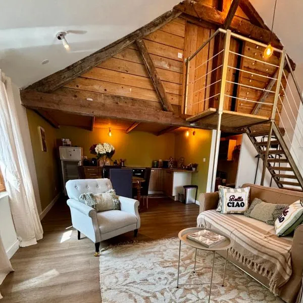 Le carrosse, la diligence, centre Saint Jean de Losne tarif 2pers 1 chambre, tarif 4 pers 2 chambres, hotel in Saint-Jean-de-Losne