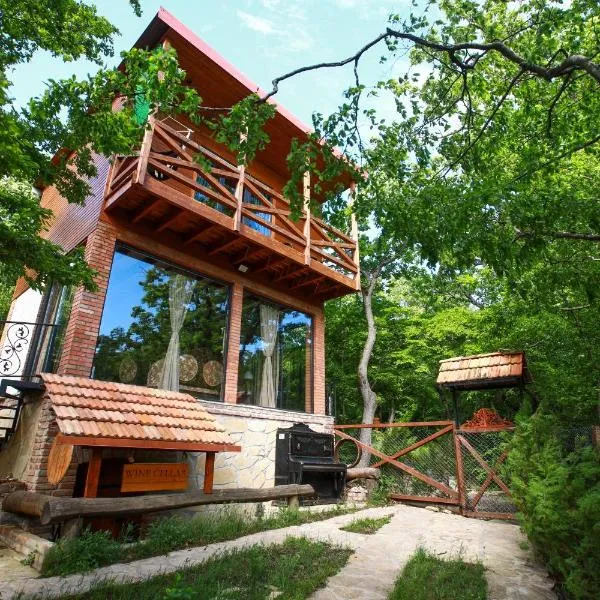 Villa Vejini cabin, Hotel in Mamkoda