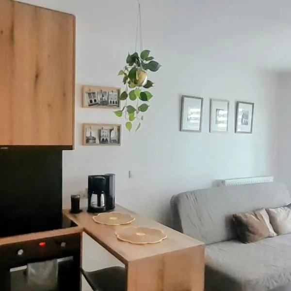 Apartament Amelia, hotelli kohteessa Zamość