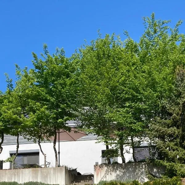 SweetSuites 40A Lavendelhaus, hotel in Mühlhausen