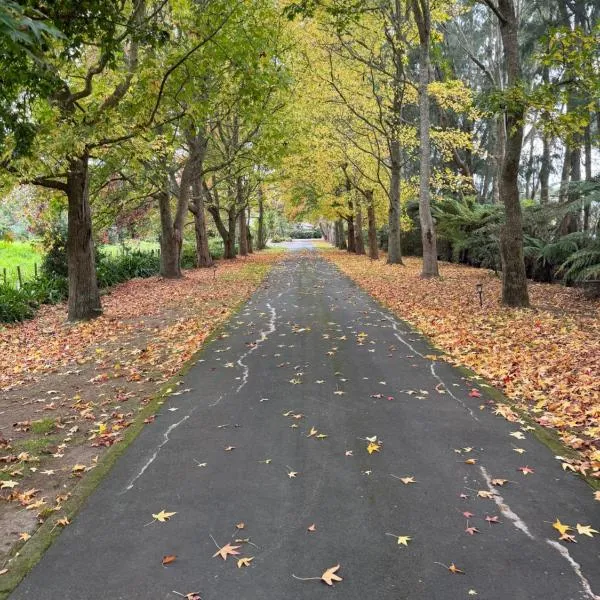 Willows Reach Lodge, Hotel in Kumeu