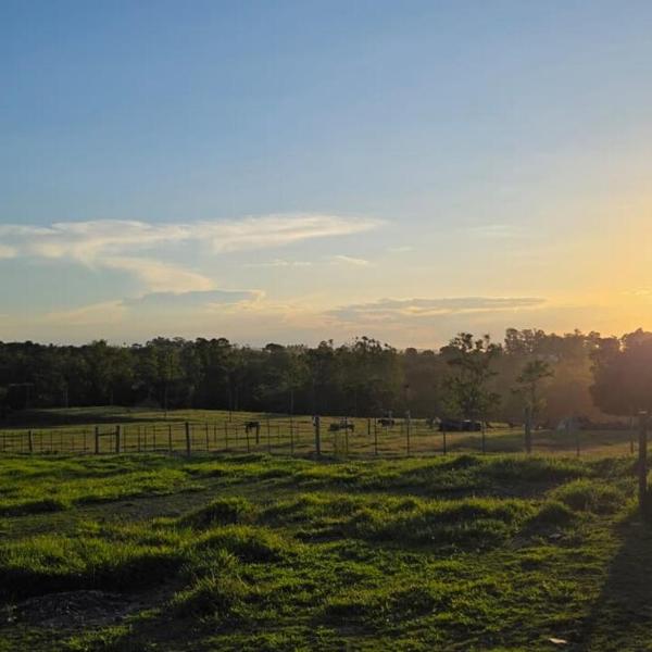 Casa Por do Sol Perfeito - Cesário Lange