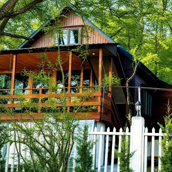 Wooden House in Kiketi, hotel v destinaci Kiketʼi