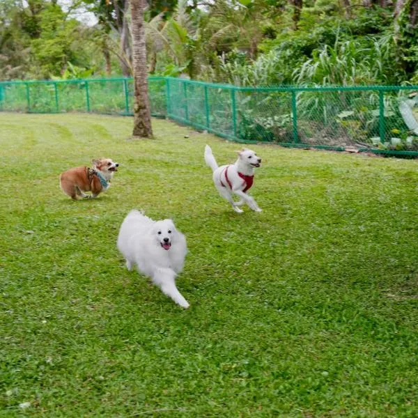 白陽山莊寵物民宿 Whitesun Pet Resort, hotel a Ji'an