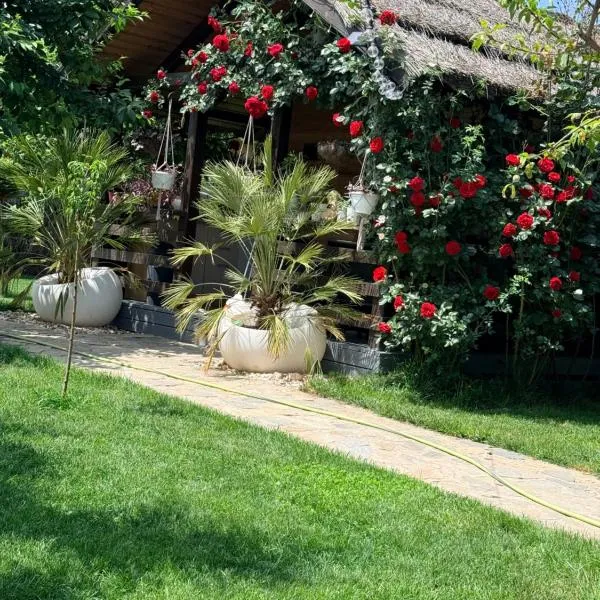 Cabana Sorina, hotel din Corbu