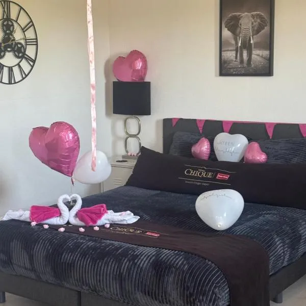 DE WEELEN met Jacuzzi en of Zwembad Topkeuze Romantiek, Hotel in Lutjebroek
