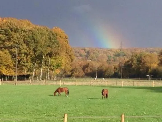 Gîte nature avec vue chevaux et forêt, ξενοδοχείο σε Vierzon