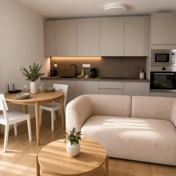 Apartments Auerswaldova Brno center, khách sạn ở Husovice