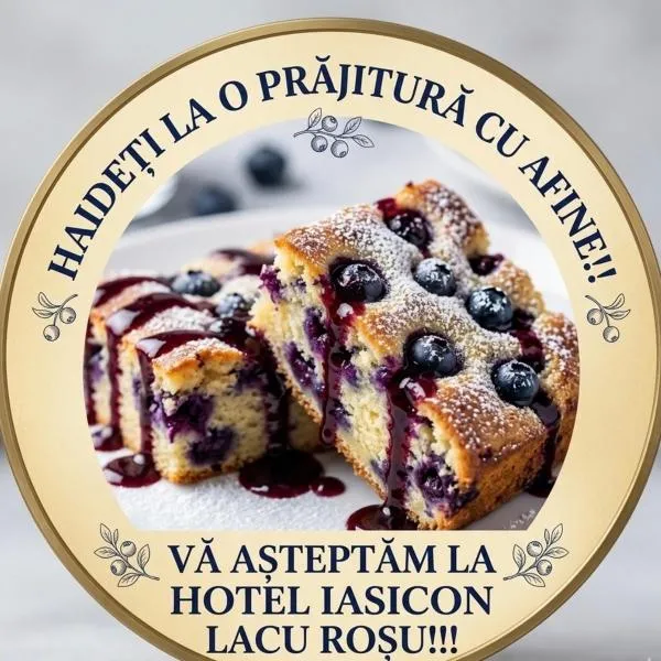 Hotel Iasicon Lacu Roșu, hotel v destinaci Lacu Rosu