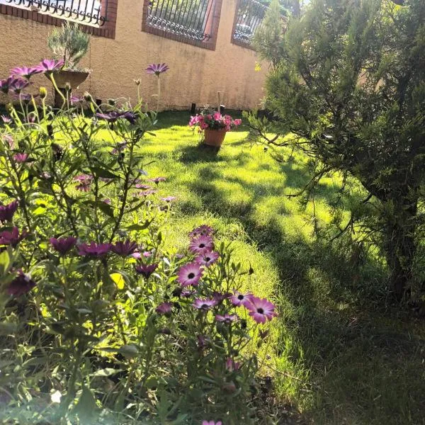 Villa Vanessa, hotel in Spoltore