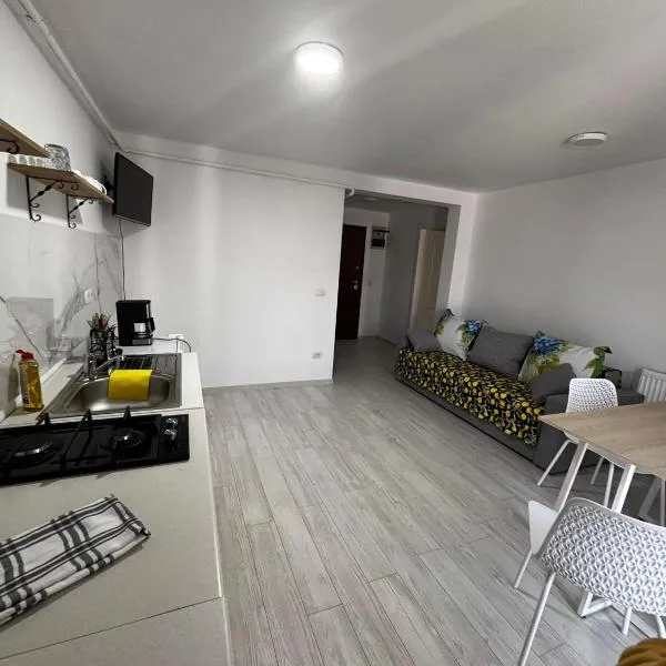 Deluxe apartament Vatra Dornei, hotel in Vatra Dornei