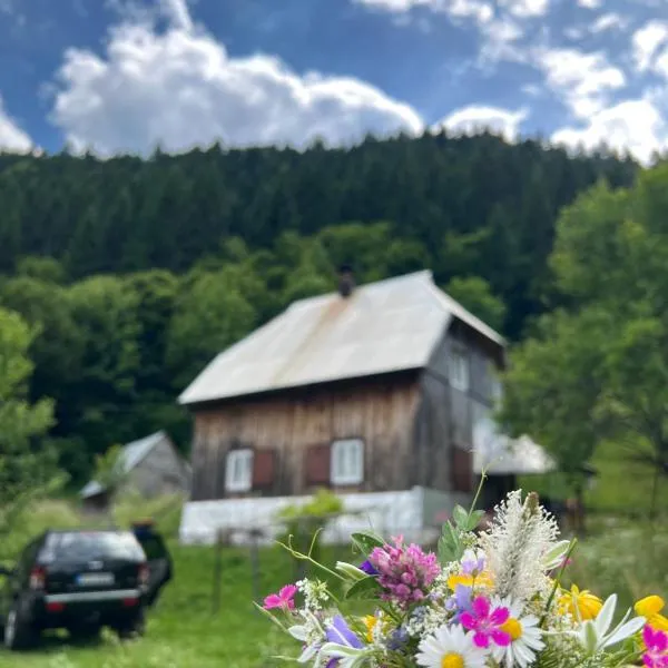 Djedova nova kuca, hotelli kohteessa Žabljak