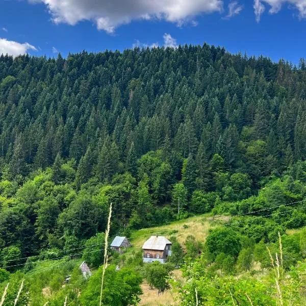 Djedova nova kuca, hotel na Žabljaku