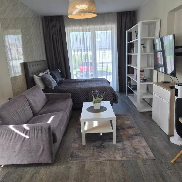 Viesnīca Aisa 39 Studio & Terrace Pērnavā