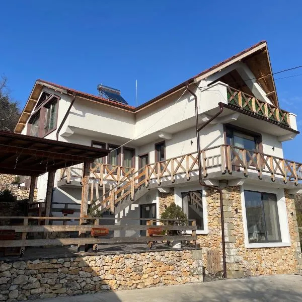 Вила Дружинци, hotel v destinaci Druzhintsi
