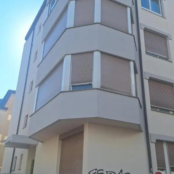 Zimmer nähe Messe-Claraplatz -Novartis, Hotel in Basel