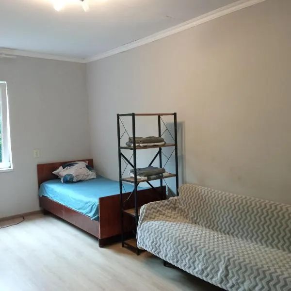studio with a fireplace, hotel in Zugdidi