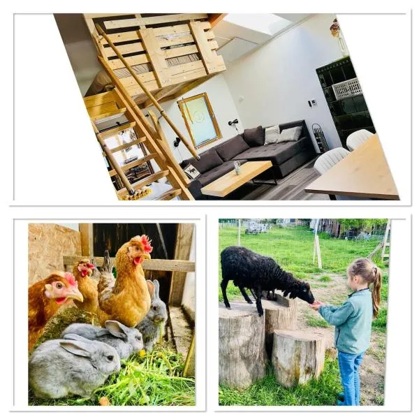 Ferienwohnung Hofglück im großen Garten، فندق في Rauen