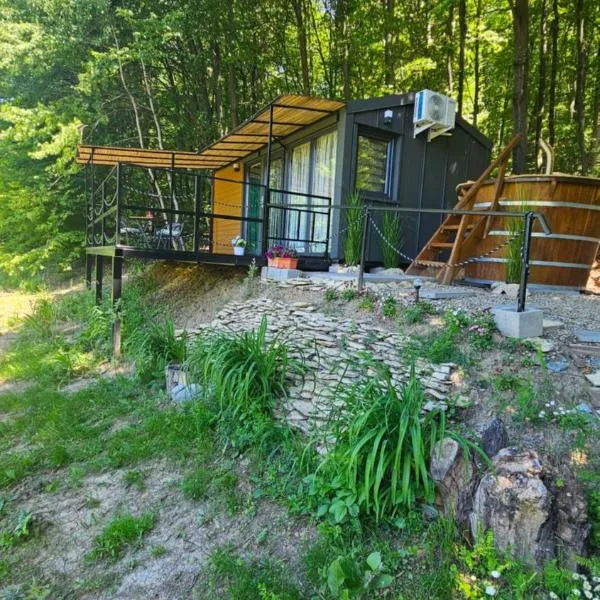 Căsuța din pădure KSIM, hotel u gradu Kurtea de Arđeš