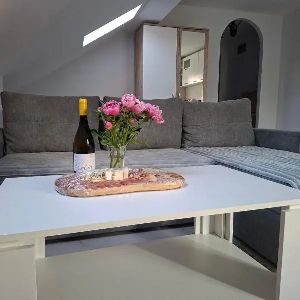 Apartman Teo Brčko, hotel Brčkóban