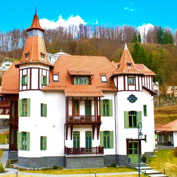 Turul Villa, ξενοδοχείο σε Sovata