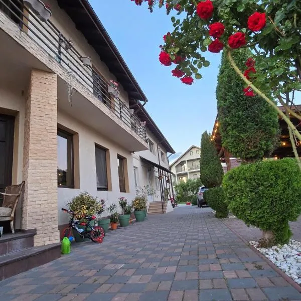 Vila Sia, hotel u gradu Ramniku Valča
