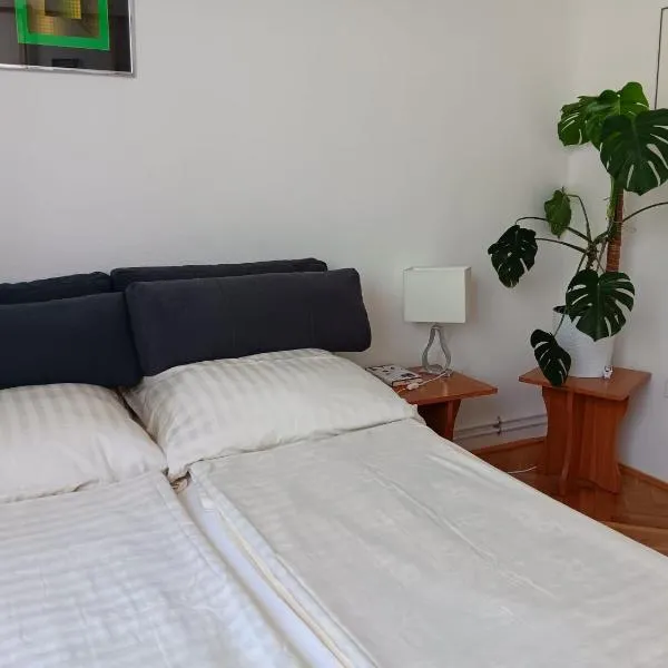 Digitális Detox Apartman, Hotel in Tiszafüred