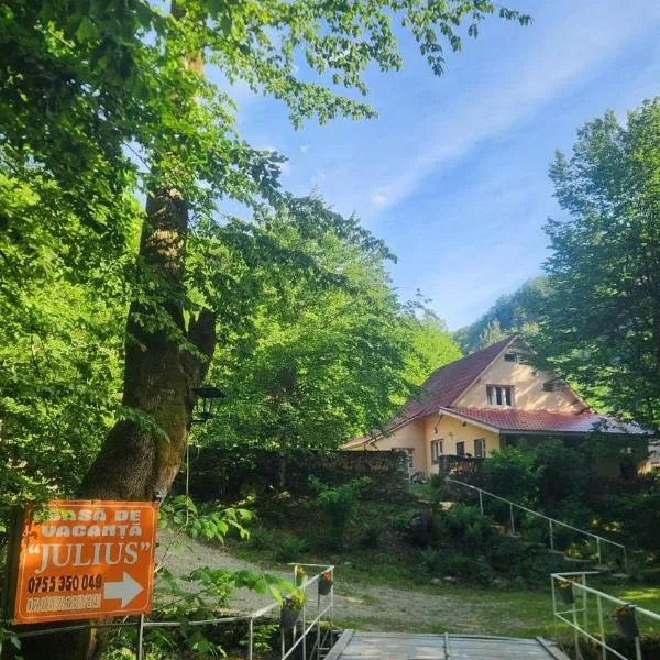 Casa de vacanta Julius, hotel a Padis