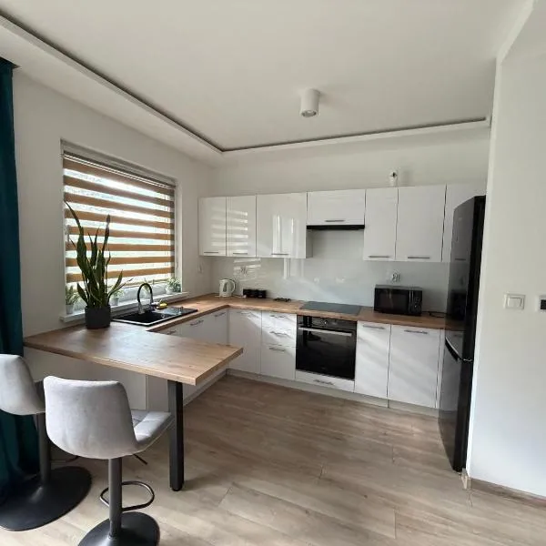 Apartament 50 m2 Rosłońskiego, hotel em Przemyśl