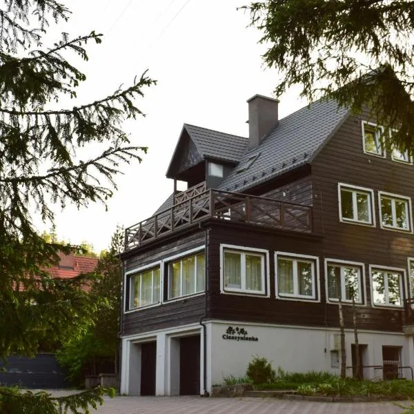 Willa Cieszynianka, hotel a Wisła