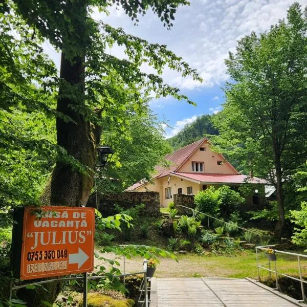 Casa de vacanta Julius, hotell i Padis