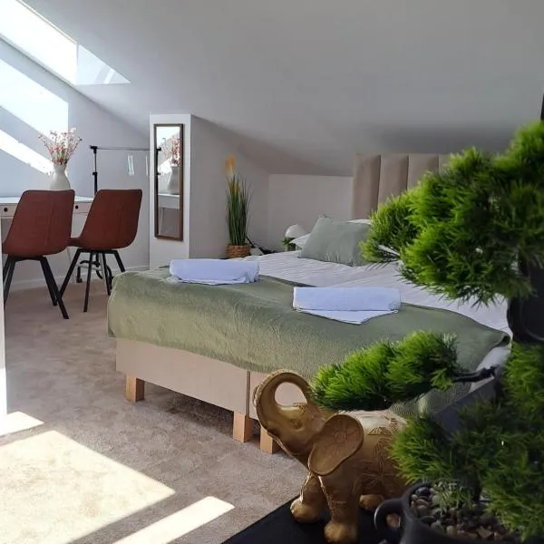 APARTAMENT typu DELUXE na poddaszu z 1 lub 2 łóżkami PARKING, hotel in Ciechanów