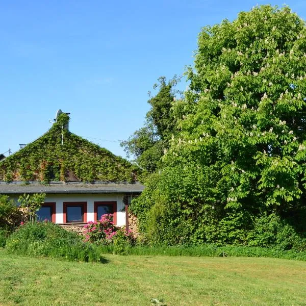 Ferienwohnung Haus Kaspers – hotel w mieście Kelberg
