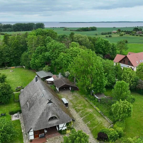 Reetmeer Apartments Spa & Reetdach am Salzhaff, hotel in Boiensdorf