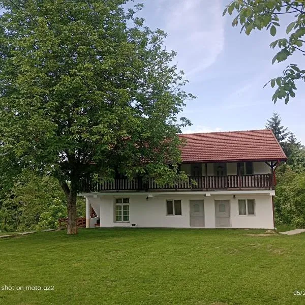 Viesnīca Pensiunea Leon Geoagiu băi pilsētā Geoagju Baja