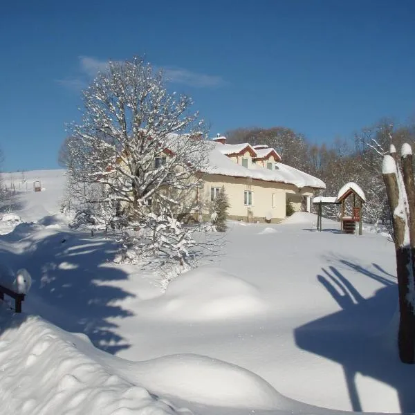 U Eskulapa – hotel w mieście Czarna