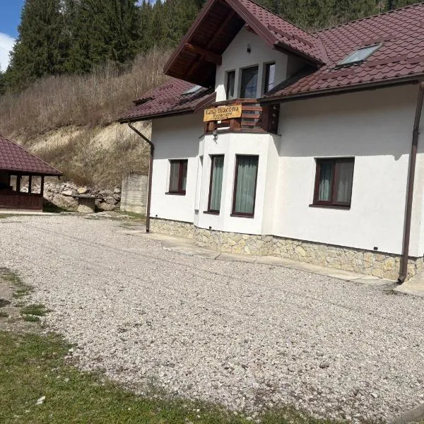 Casa Diaconu, hotel sa Fundu Moldovei