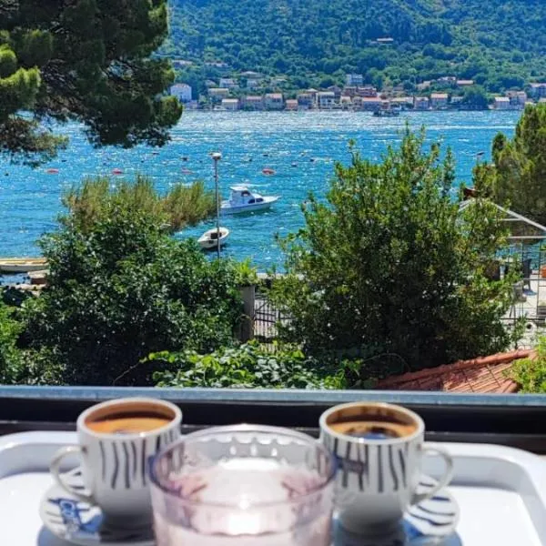 Tetka Apartments, hotel in Kotor
