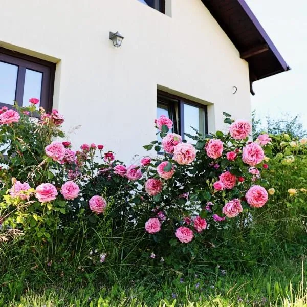 Virajlux Verde Retreat, hotel a Mioveni