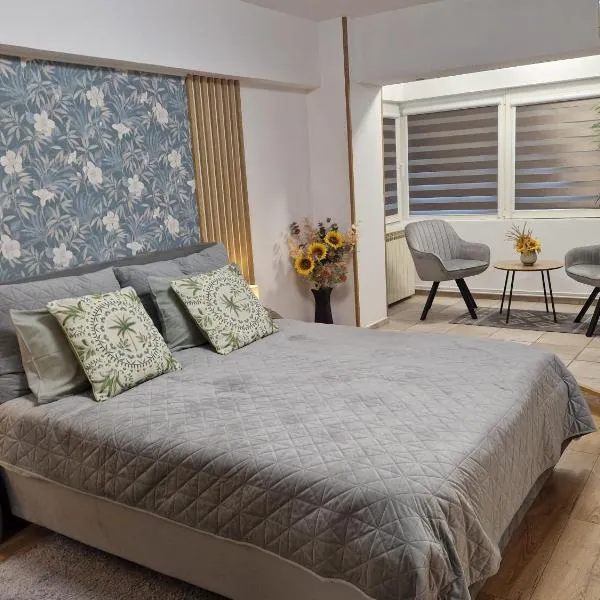 Ploieşti में, होटल Adina C1 - Deluxe Apartment