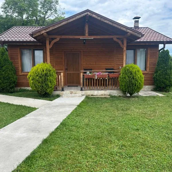 Къщи за гости Михайлови, Hotel in Saparewa Banja