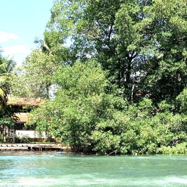 Beira da lagoa vista incrível, paz e natureza-Ilha da Gigoia
