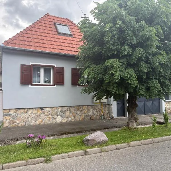 Casa Tei, hotel a Turnişor