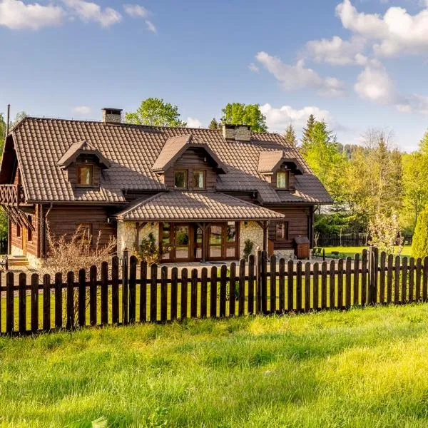 Dom Gościnny Borsuczyna, hotel i Wetlina