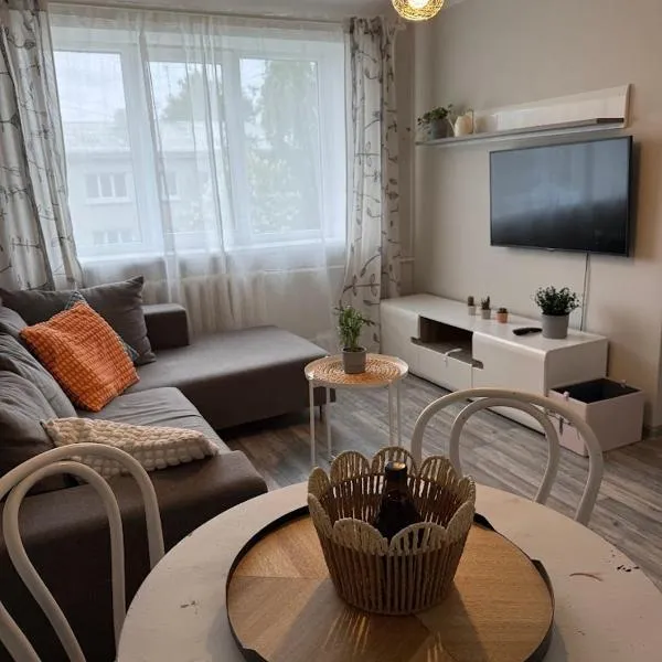 Gallo Riga Apartments,里加的飯店