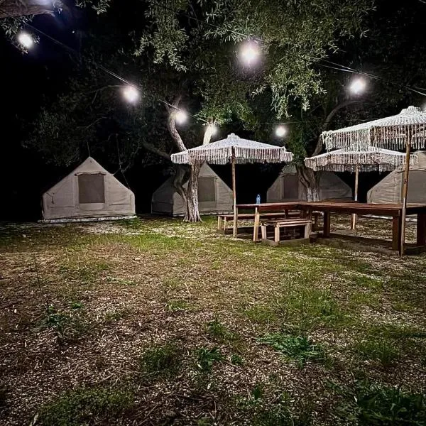 보르쉬에 위치한 호텔 Bocana Camping Borsh