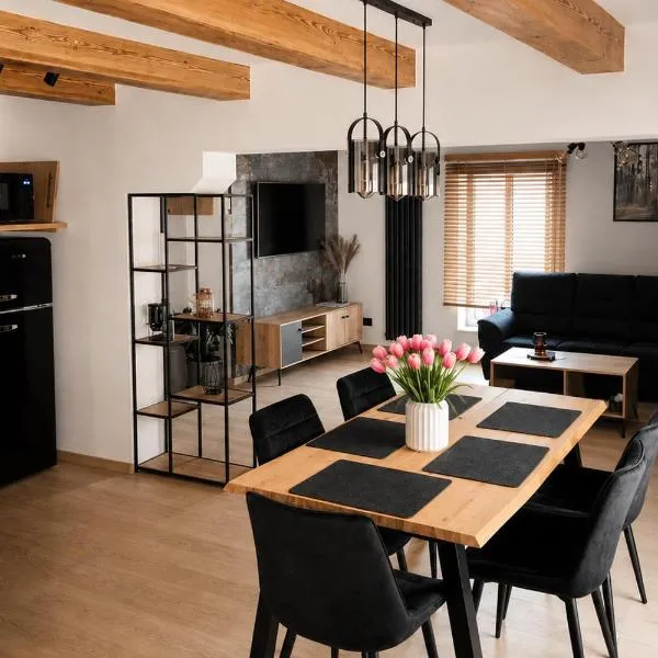 Apartamenty Rynek Szamotuły, hotel u gradu 'Szamotuły'
