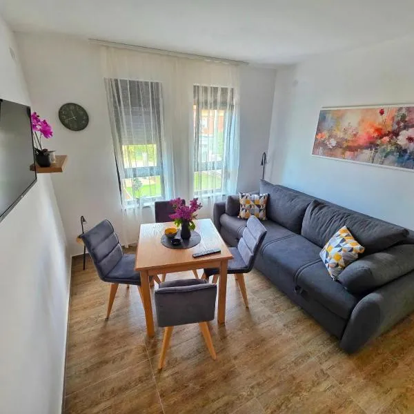 Apartman Petrus 1, hotel a Soko Banja