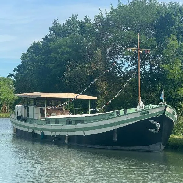 Péniche GEMJO, Hotel in Castelsarrasin