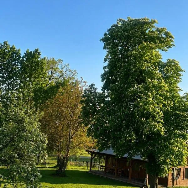 Poleskie zacisze, domek Bocian, kominek, balia,sauna,wifi, viešbutis mieste Helenin